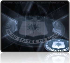 La CIA invierte en monitoreo Web 2.0