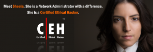 Cómo ser en un hacker ético