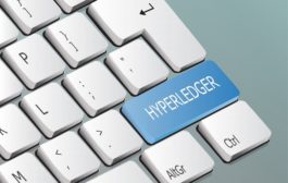 Hyperledger Fabric incorpora 6 mejoras con su nueva versión 2.0