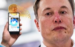 Reputación de Elon Musk en Twitter cae tras distanciarse de bitcoin